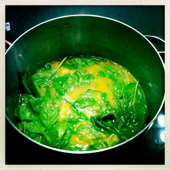 soppa, linser, potatis, spenat