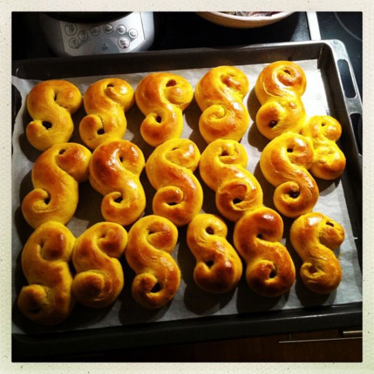 lussekatter
