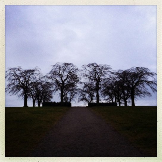 Minneslund Skogskyrkogården