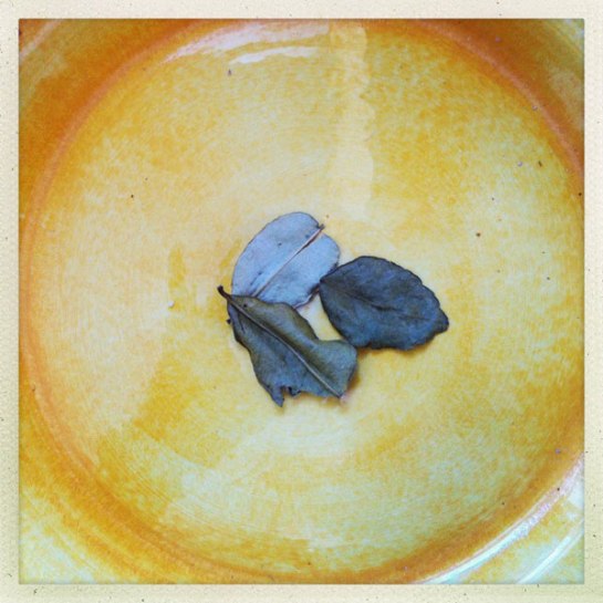 Torkade små limeblad