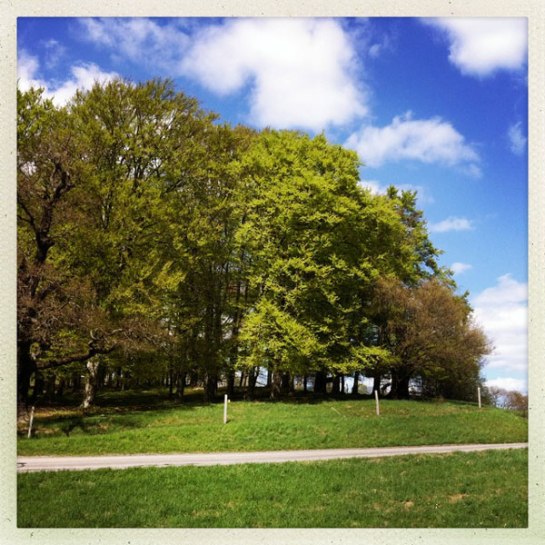 Här springer jag vårruset om någon vecka - peppen!