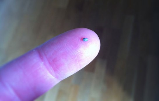 Ett litet frö med stor potential.