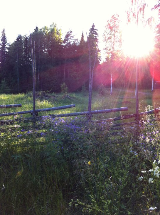 Soluppgång på Levagården.