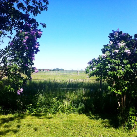 "... vind och vidd och ett oändligt hem."