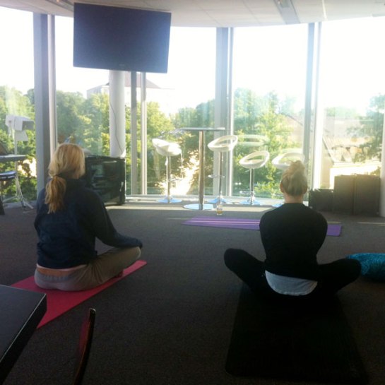 Härligaste yogashalan i stan.